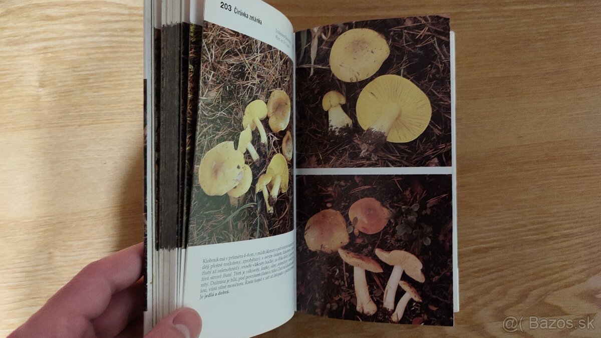 Houbařský atlas - J. a M.Erhartovi ( Huby, Atlas húb ) - 7