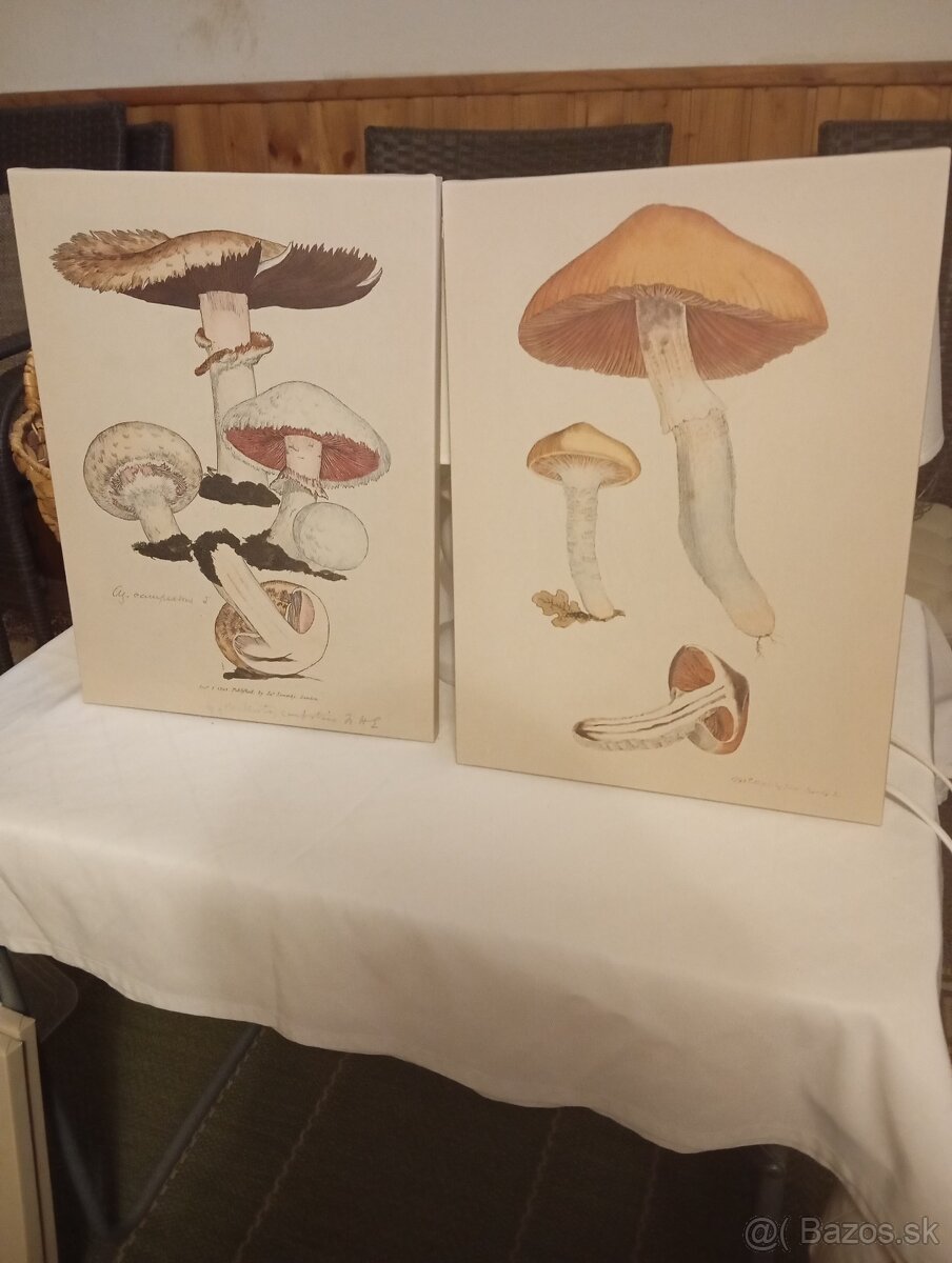 Zadarmo obrazy, ozdoby - 7