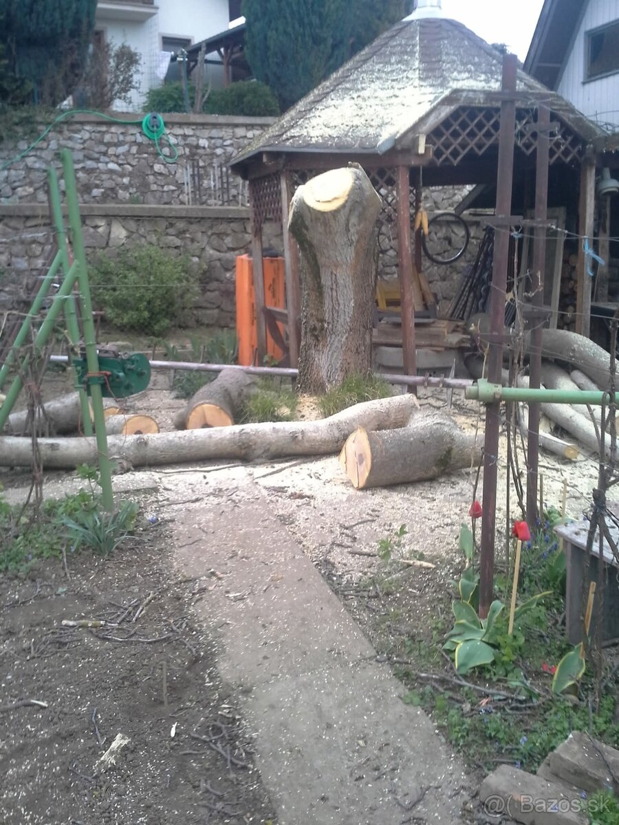 Pílenie stromov, rizikove pílenie - 7