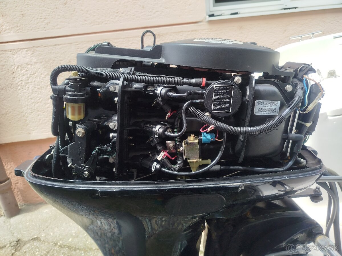 Quicksilver flamingo - 7