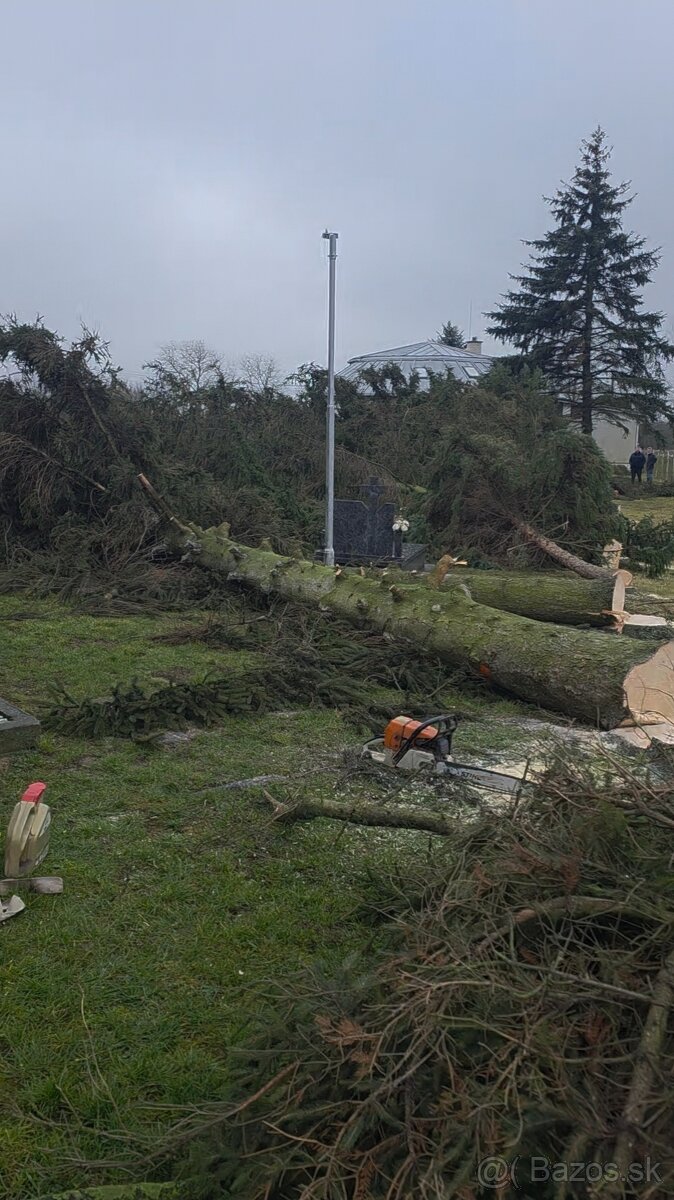Vyrub stromov - 7