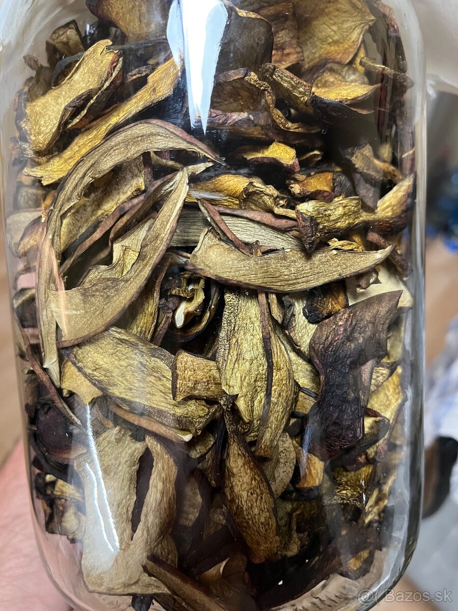Sušené hríby - 7