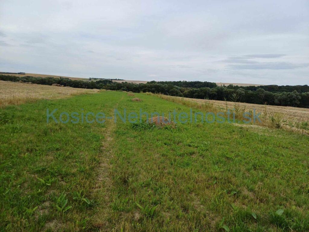 Predaj pozemok v obci Slivník okres Trebišov - 7