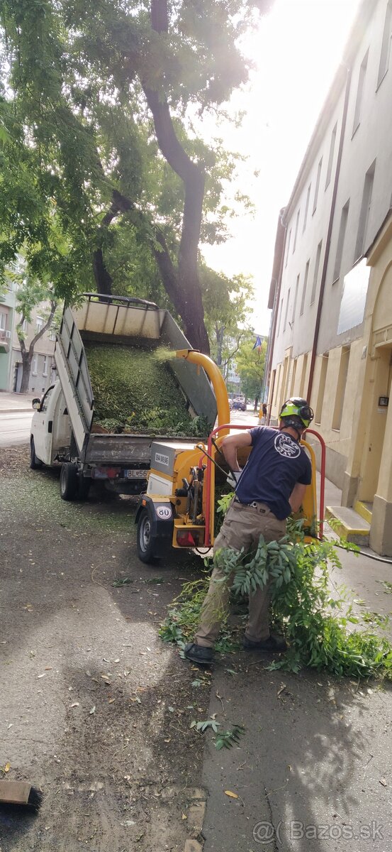 Pílenie stromov, arboristika, výrub stromov, orez stromov - 7