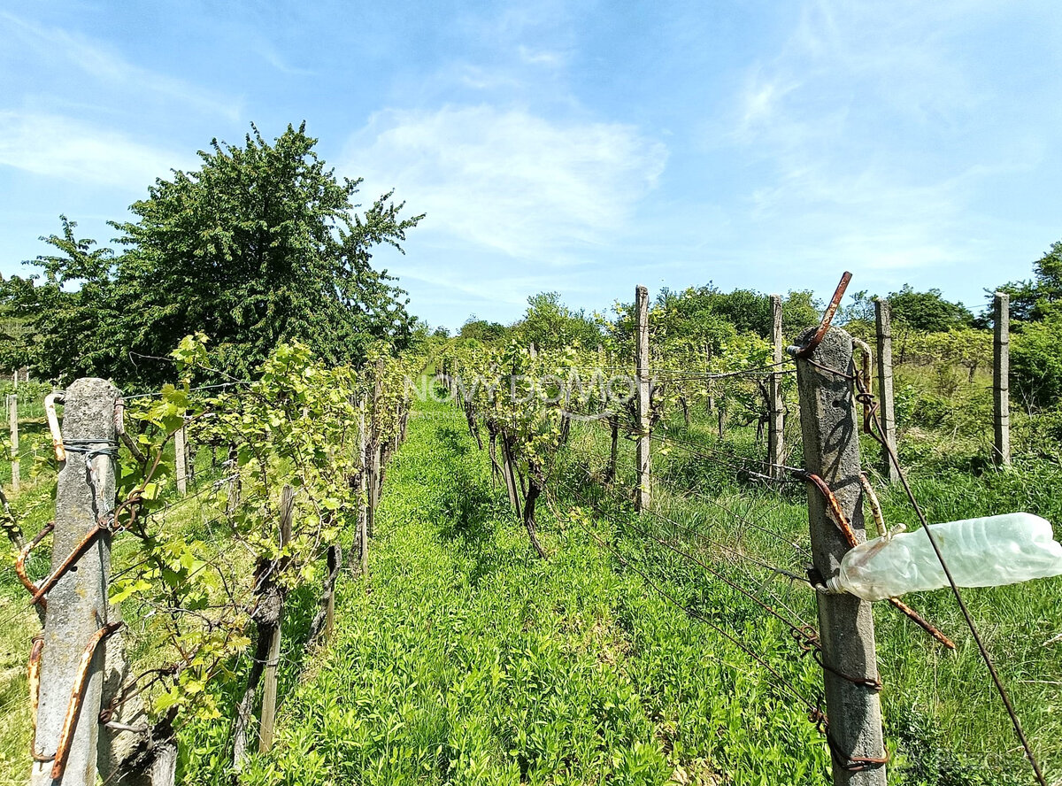 NA PREDAJ - vinice, obec Strekov, výmera 4659 m2 - 7