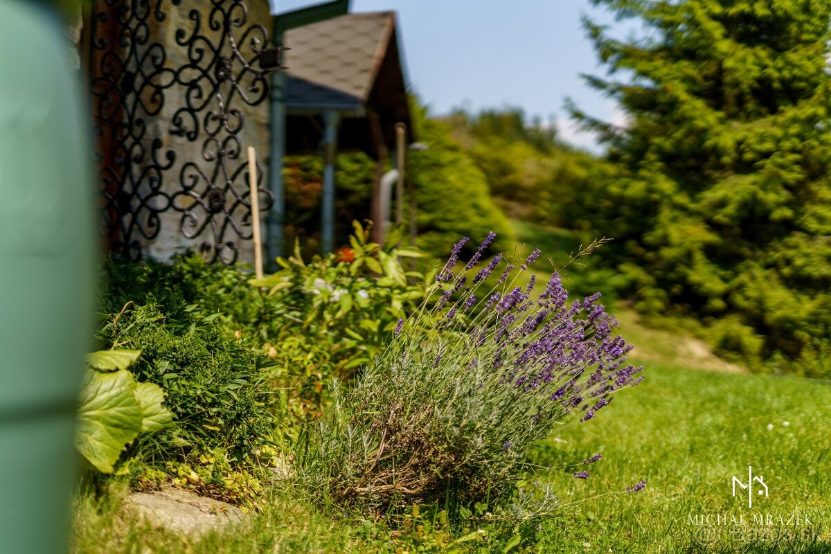 Ponúkame Vám exkluzívne na predaj rekreačnú chatu v časti Lá - 7