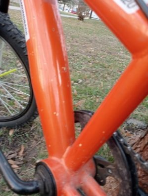 Diamond back detský bicykel - 7