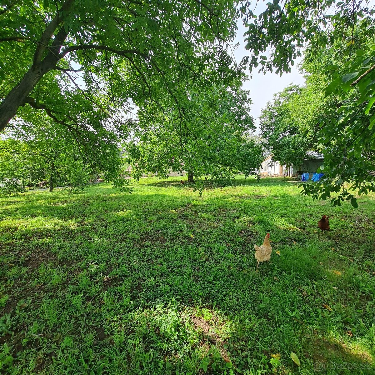 Predaj – Rodinný dom 7 izbový v obci Tehla – okr. Levice - 7