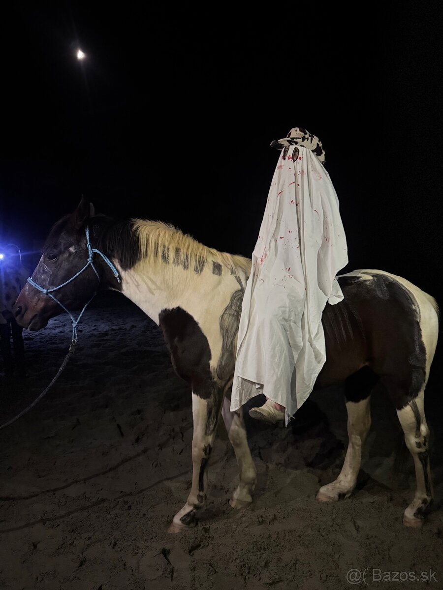 🐎 Jazdenie na koni – Červeny Dvor - 7