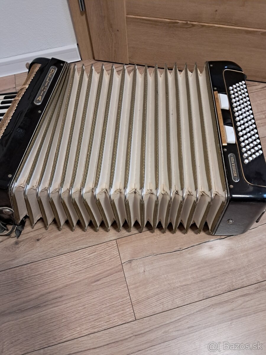 Akordeón Delicia - 7