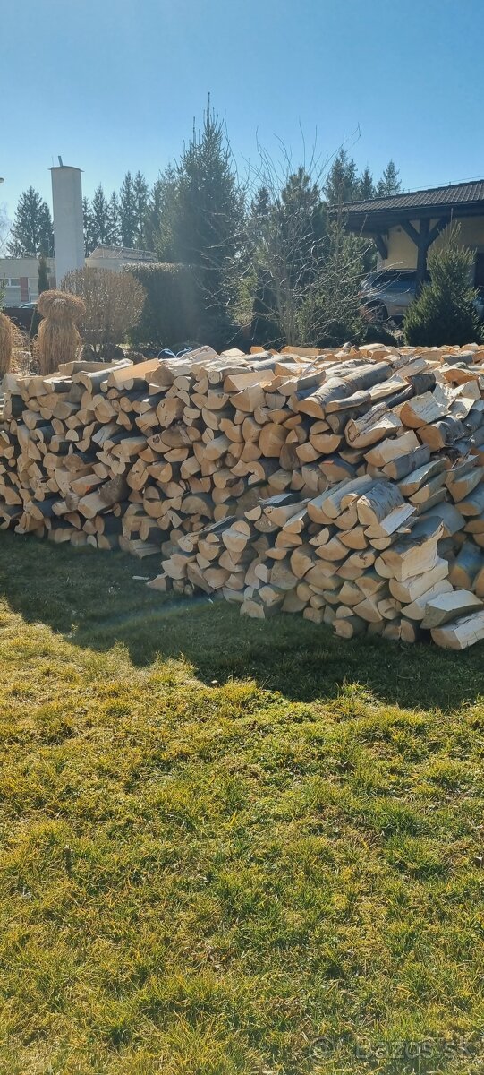 Predam palivové drevo. - 7