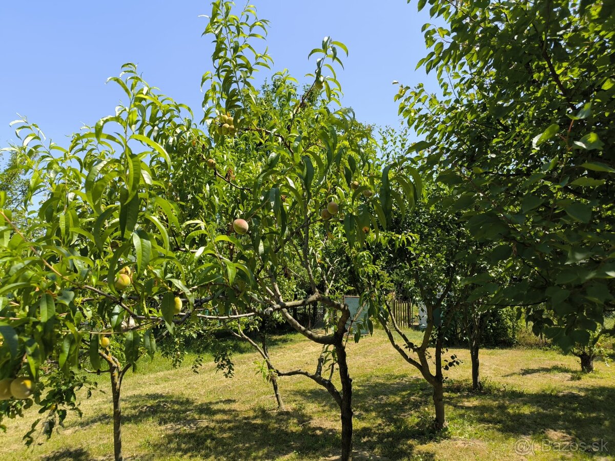 ID 2508 - Záhrada s chatkou - BA Dúbravka (159,91 €/m2) - 7