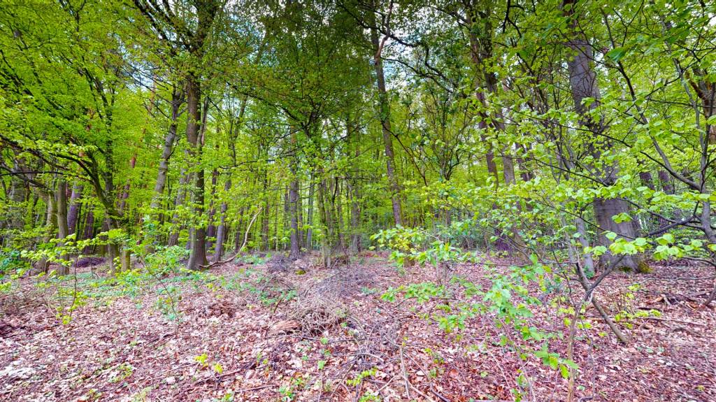 Stavebný pozemok 2796 m2 Rudník okres Myjava + elektrika - 7