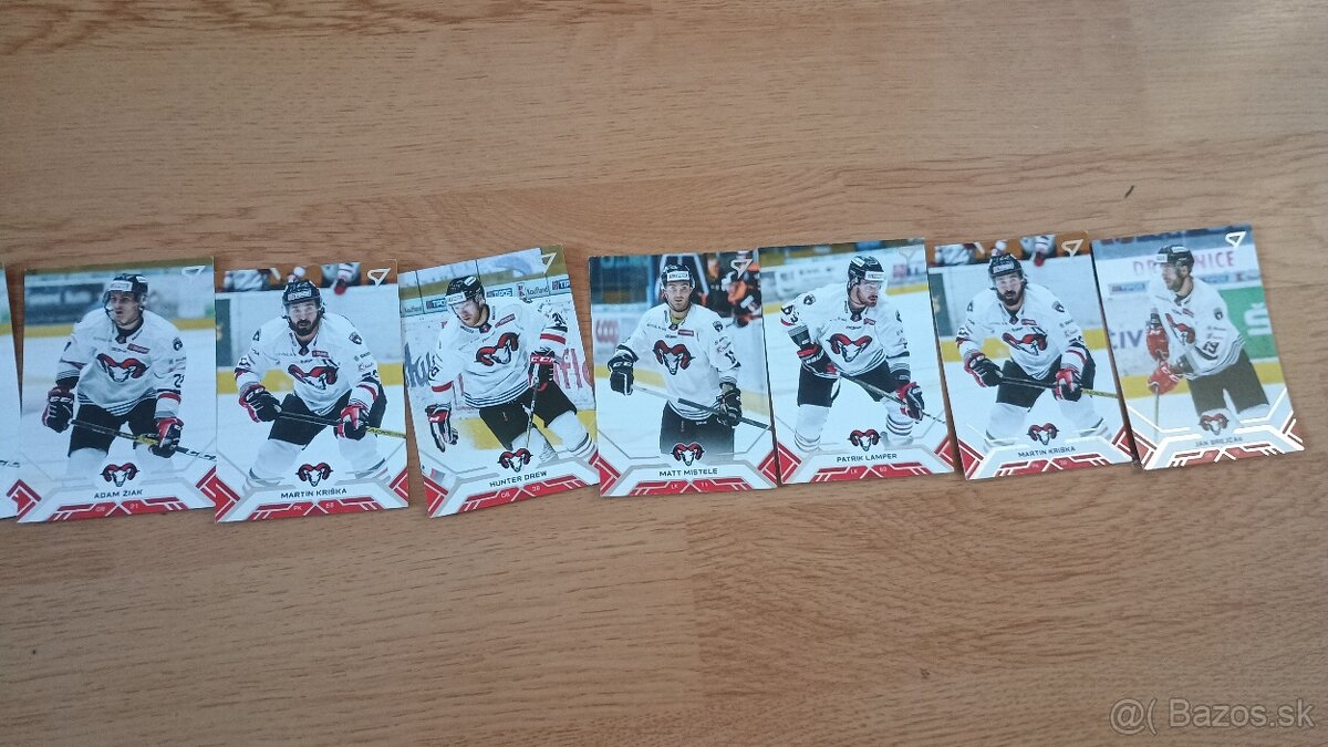 Hokejové kartičky Tipos extraliga 2020/21 - 7