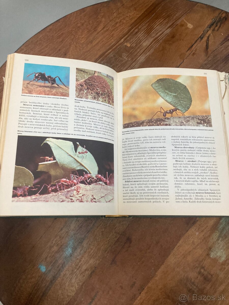 Svet živočíšnej ríše - 7