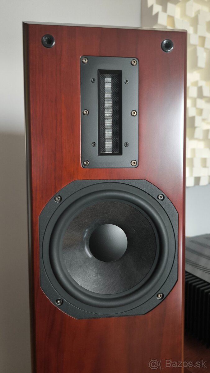 Aurum Cantus M-103 (Rosewood) - 7