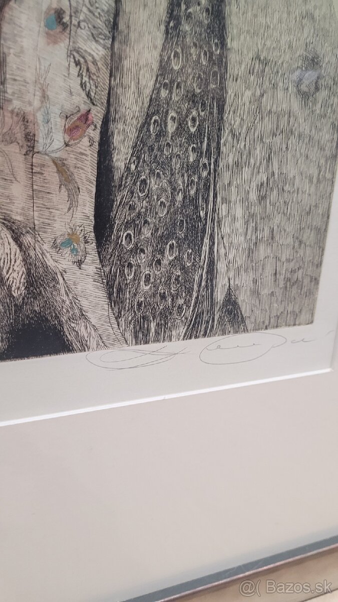 Obraz Katarína Vávrová - 7