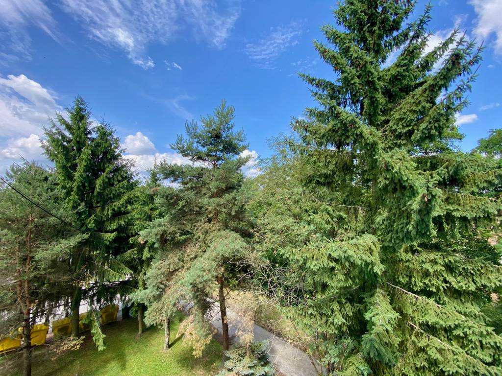 Na predaj 4 izbový byt vo vyhľadávanej obci Očová - 7