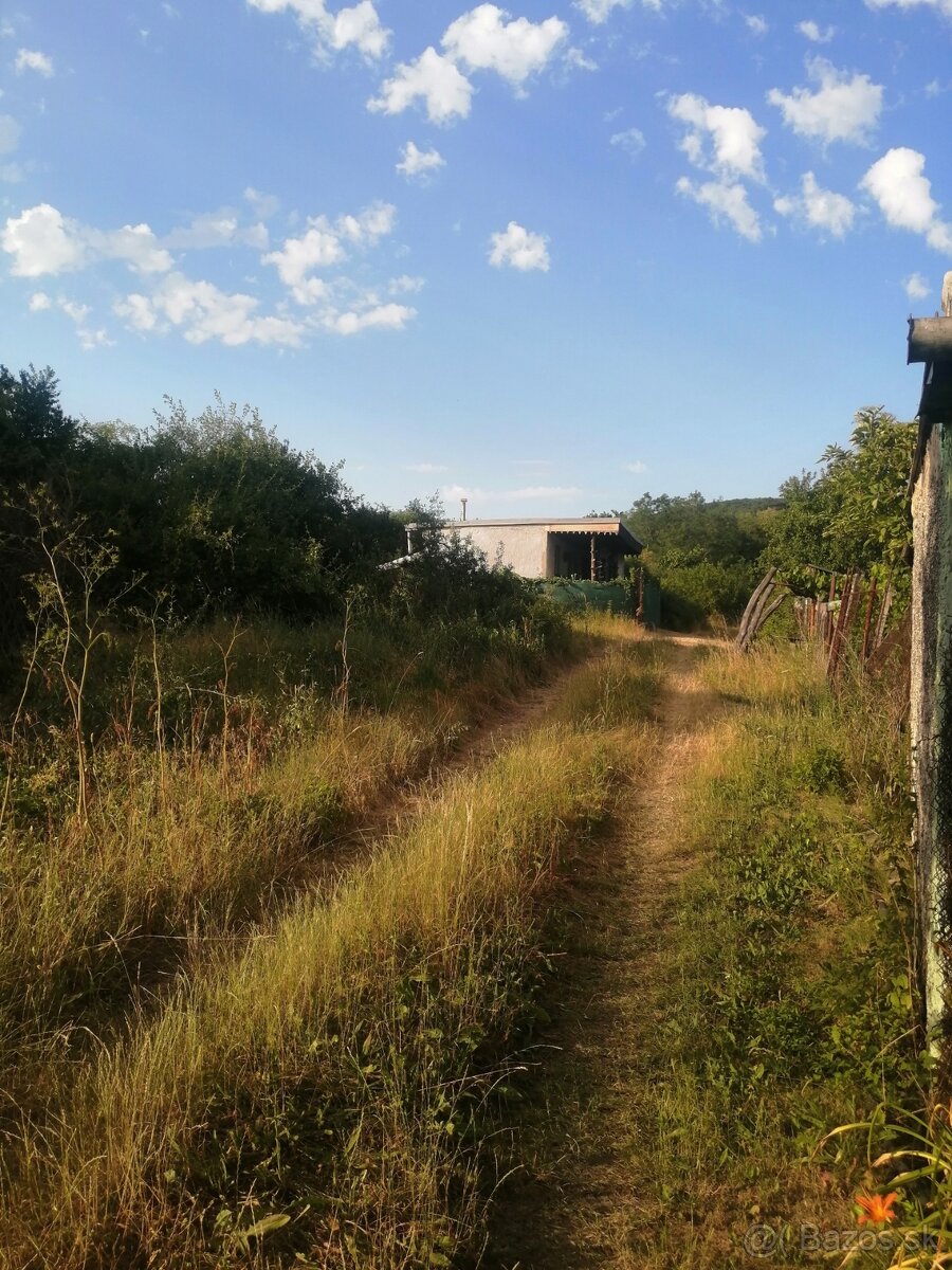 Predaj viničný domček , 646 m2 ,Rybník - 7