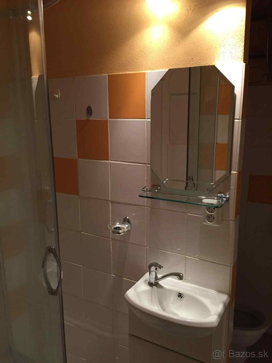 PRENAJOM 1-IZBOVÝ BYT - 7