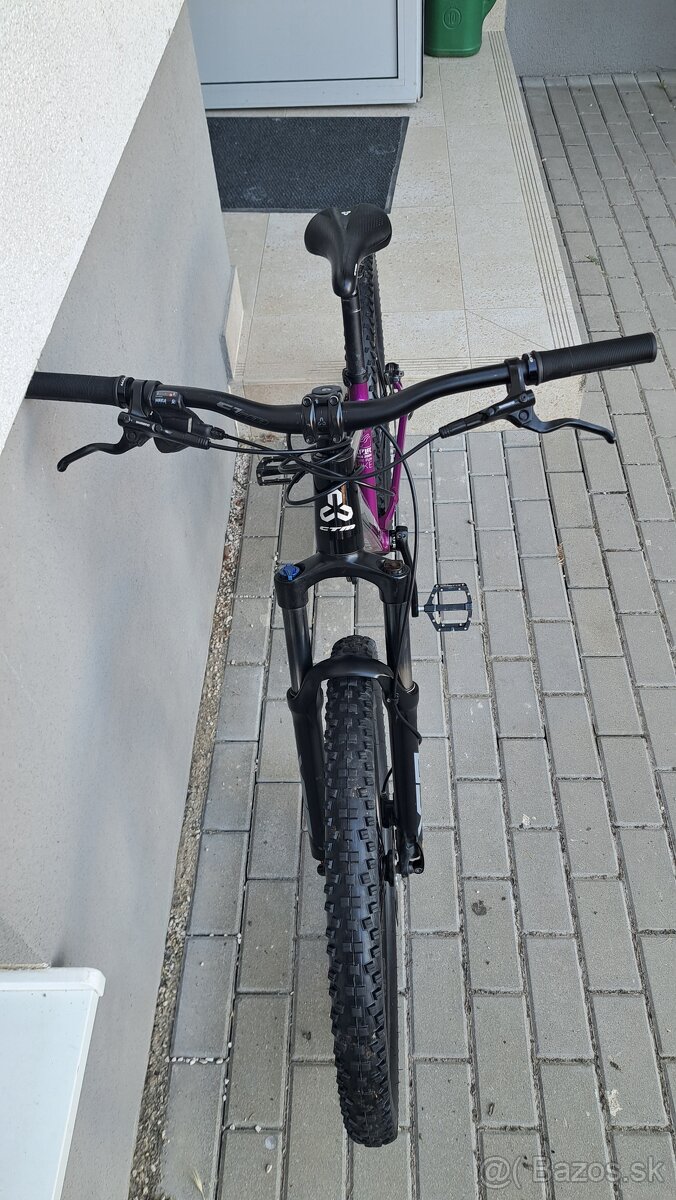 CTM RAPTOR - 7