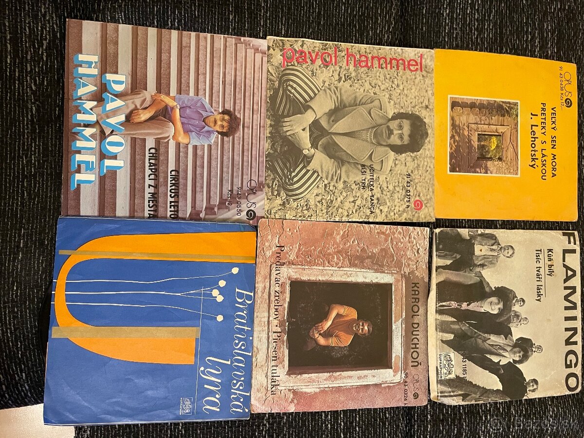 Slovensko-Ceske LYp - 7