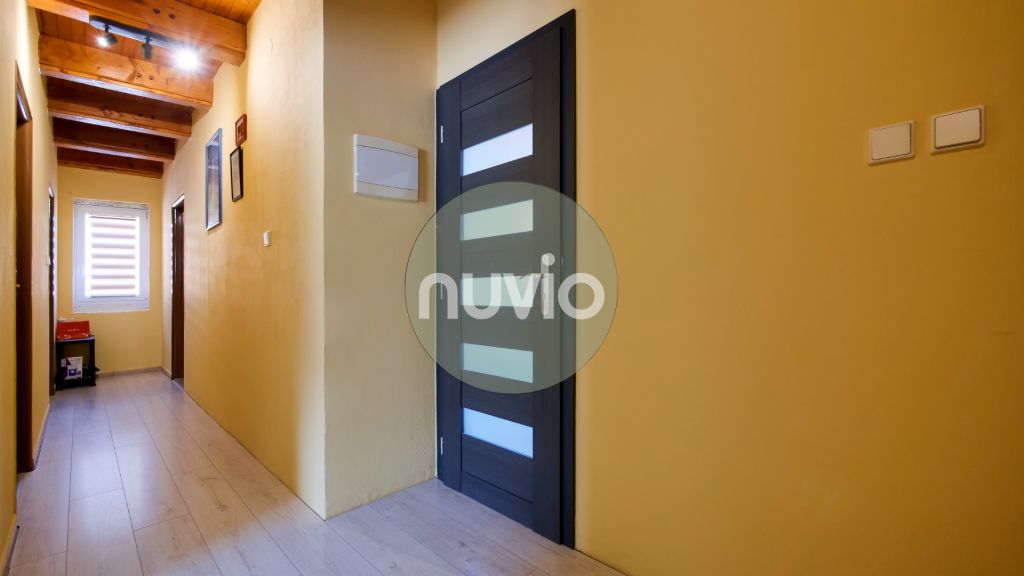 Fotografia 7