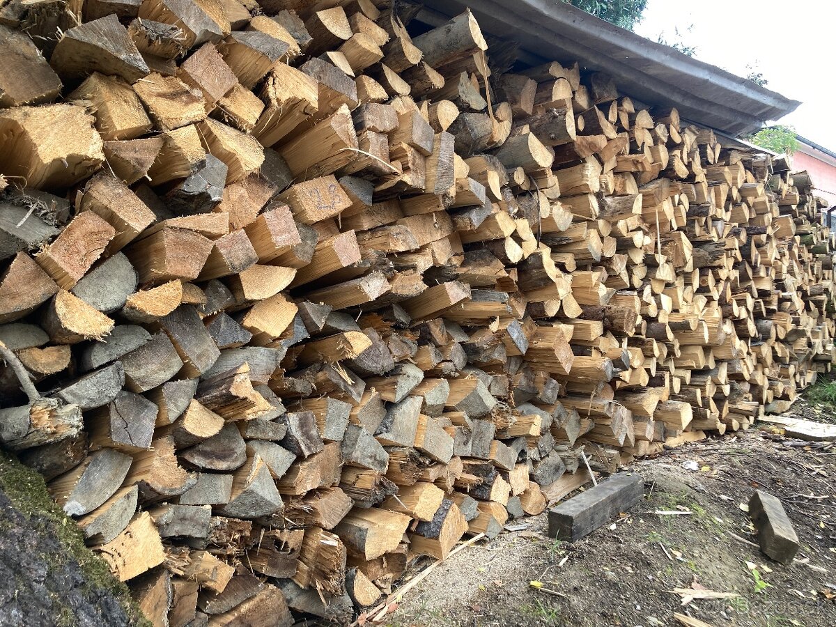 Suche palivové drevo - 7