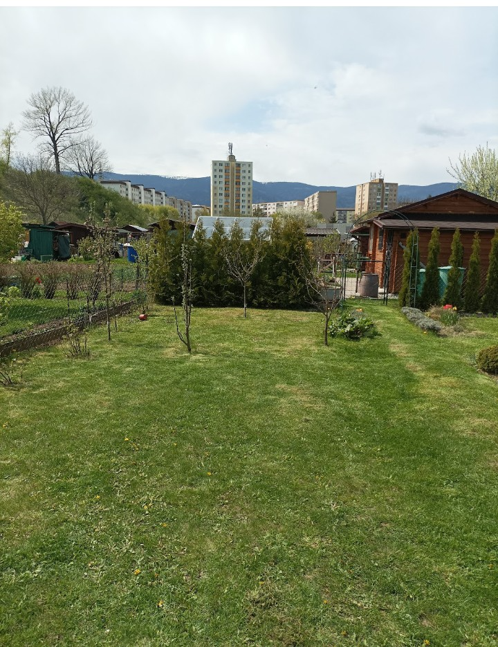 Predám záhradu. - 7