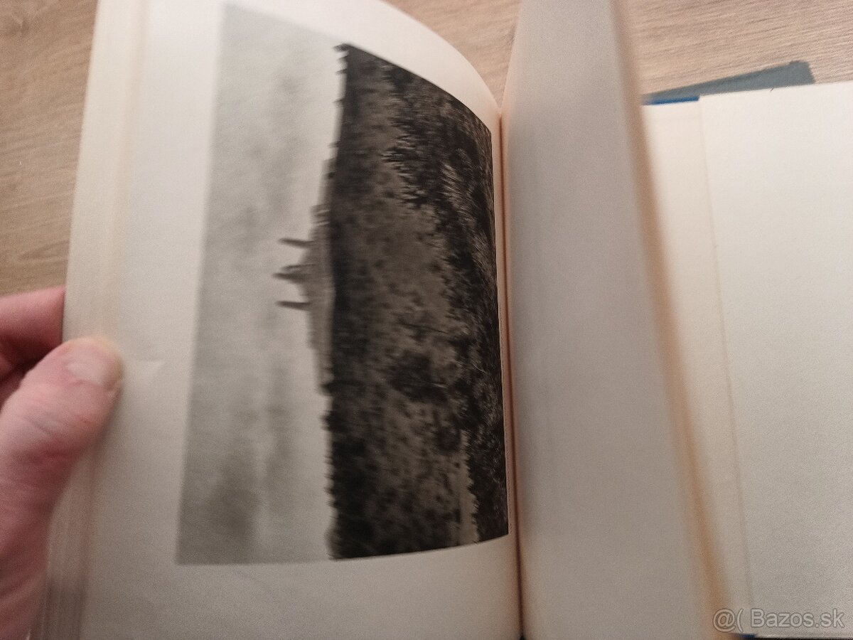 Štefánik vo fotografii 1938 - 7