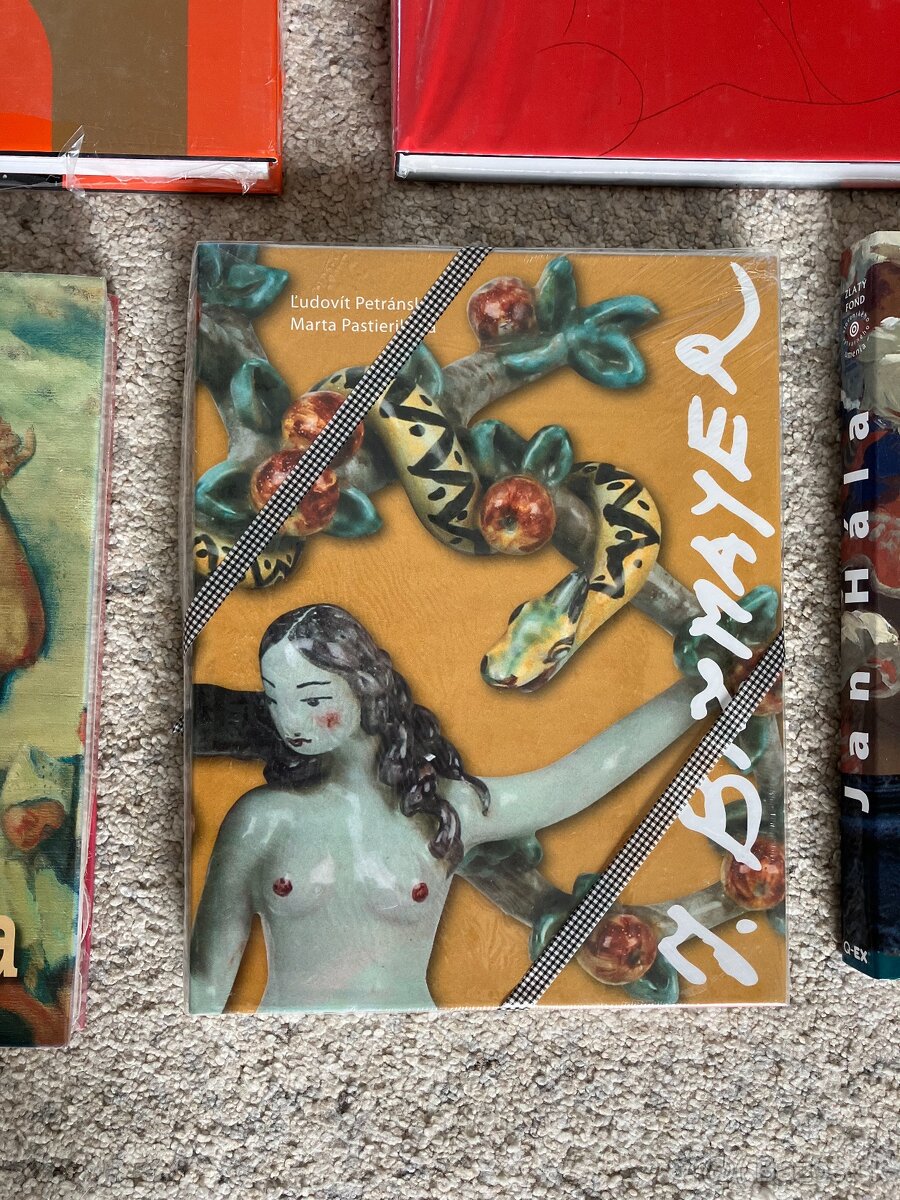 Nové knihy o umení - 7