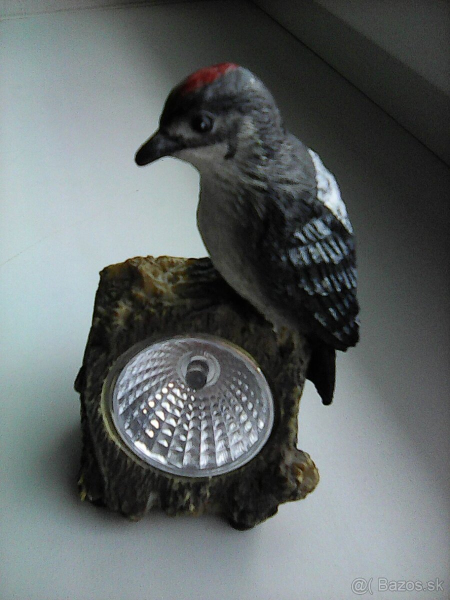 ponúkam soľničku,koreničku... - 7