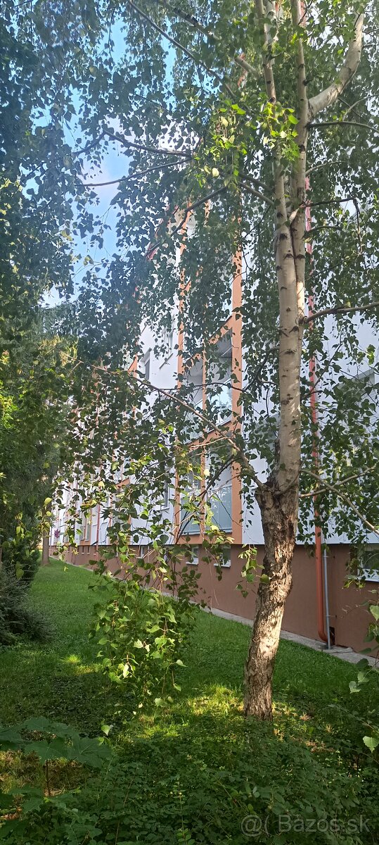 Predaj 2 iz.bytu v centre mesta Pezinok - 7