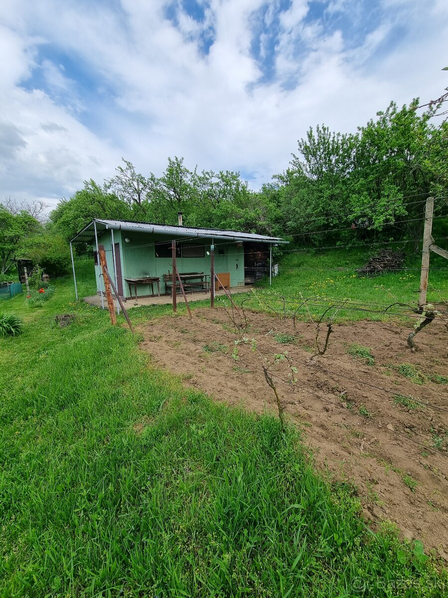 Na predaj vinohrad v meste Skalica - lokalita Žobráky - 7