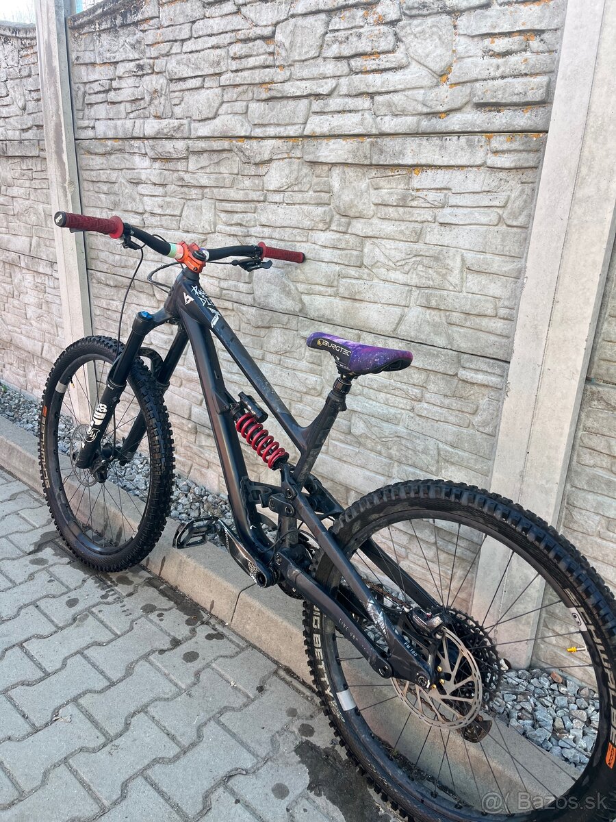 Predam YT capra 2023 - 7