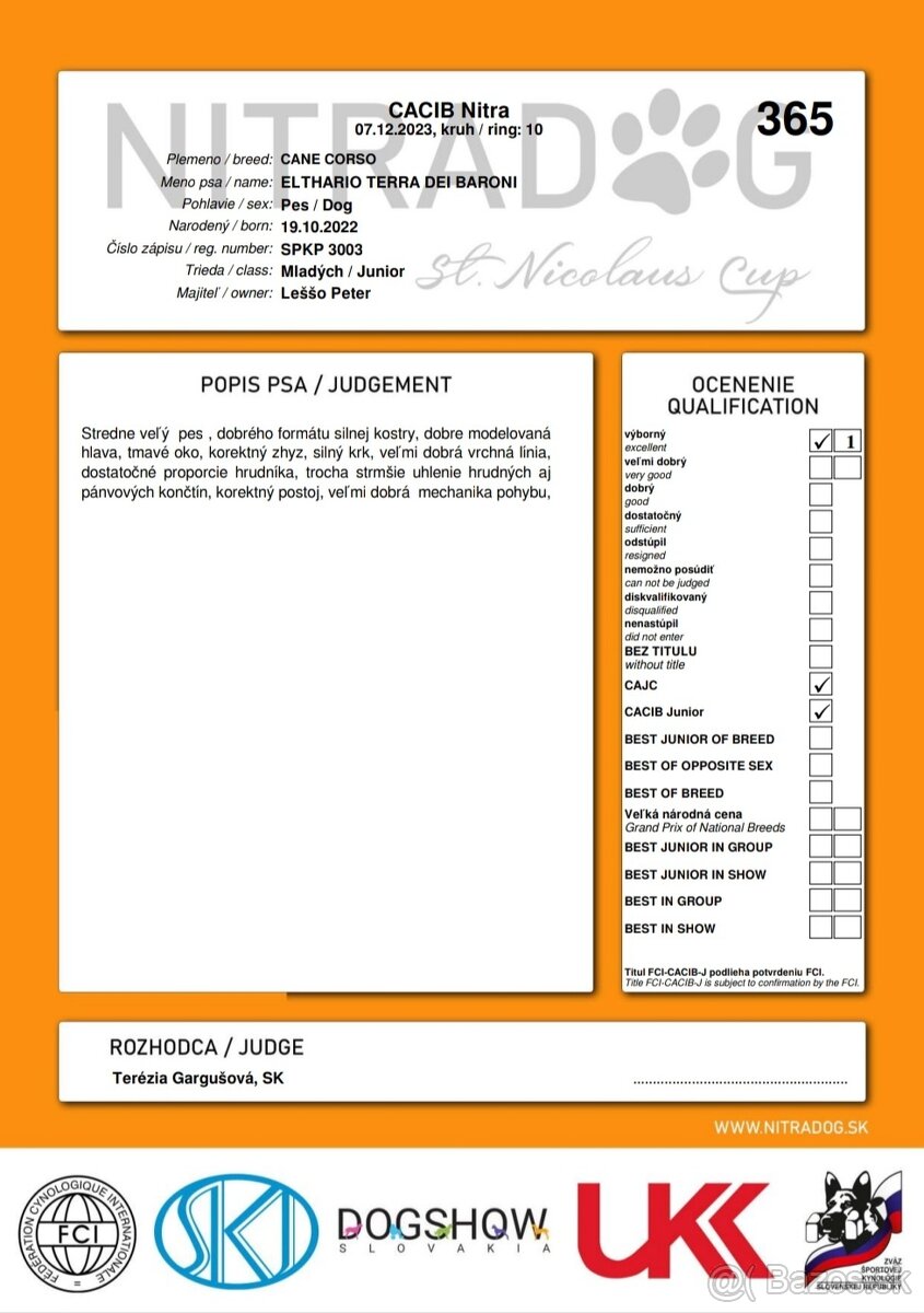 Krytie Cane corso - 7