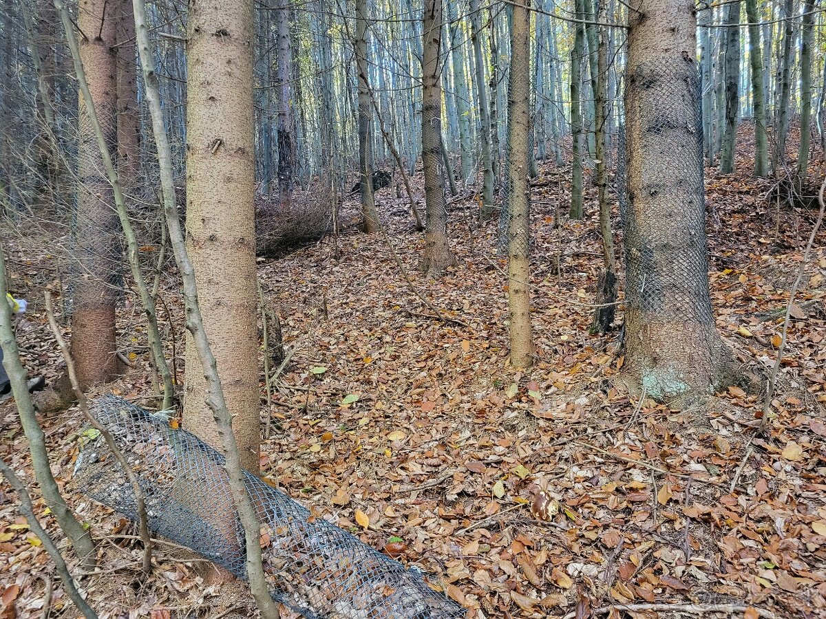 Vymením 3,8 ha lesného pozemku za ornú pôdu - 7