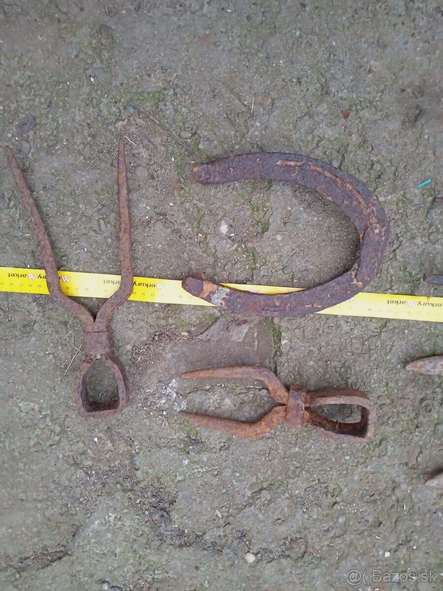 Tlcik motyka podkova - 7