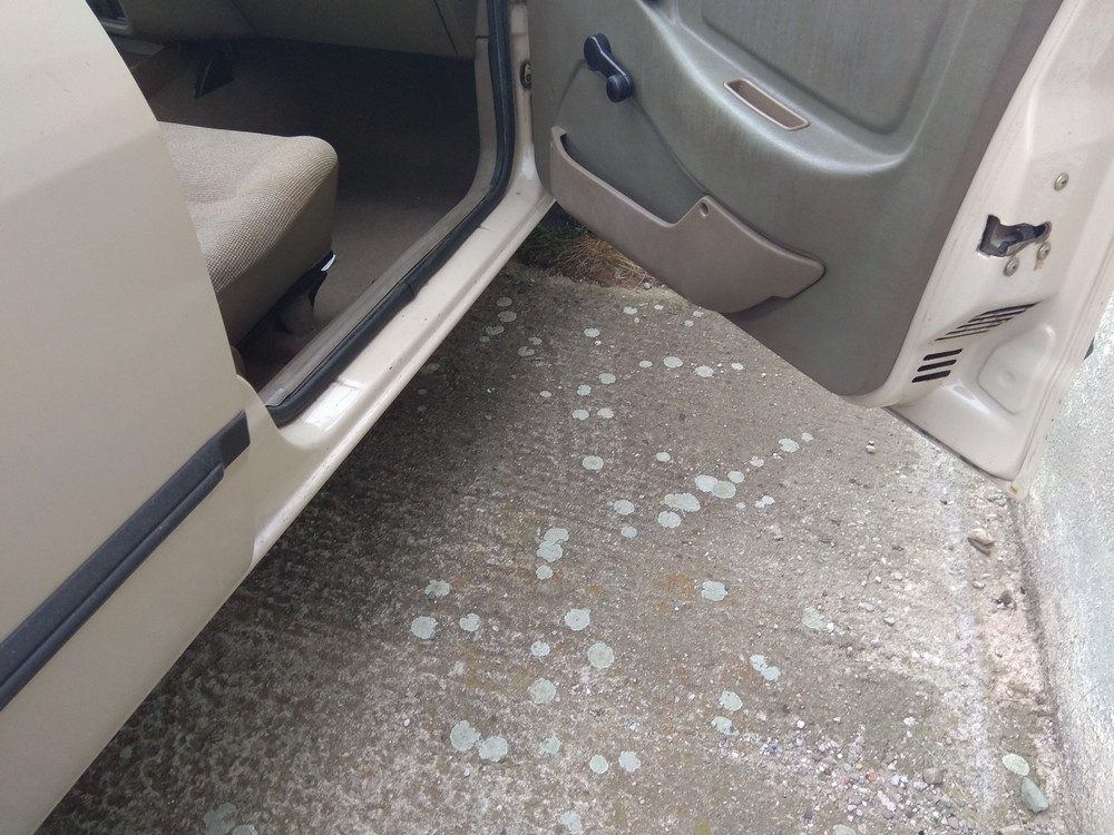 Ford Sierra 1600 - 7