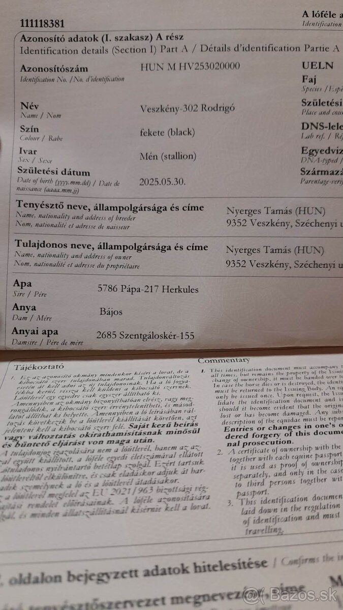 Predam ťaznu zrebec - 7