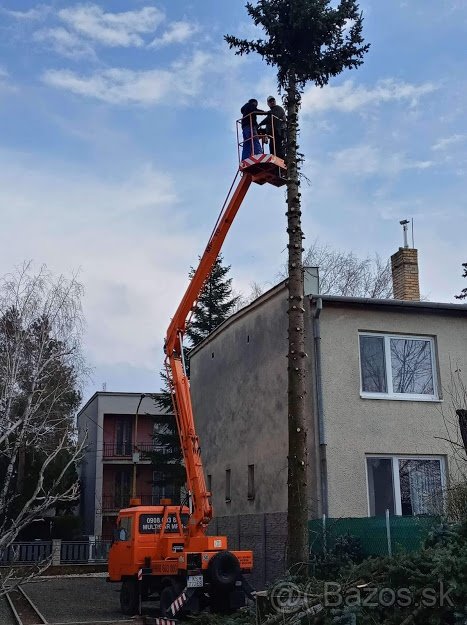 Pílenie a Orezávanie stromov - 7