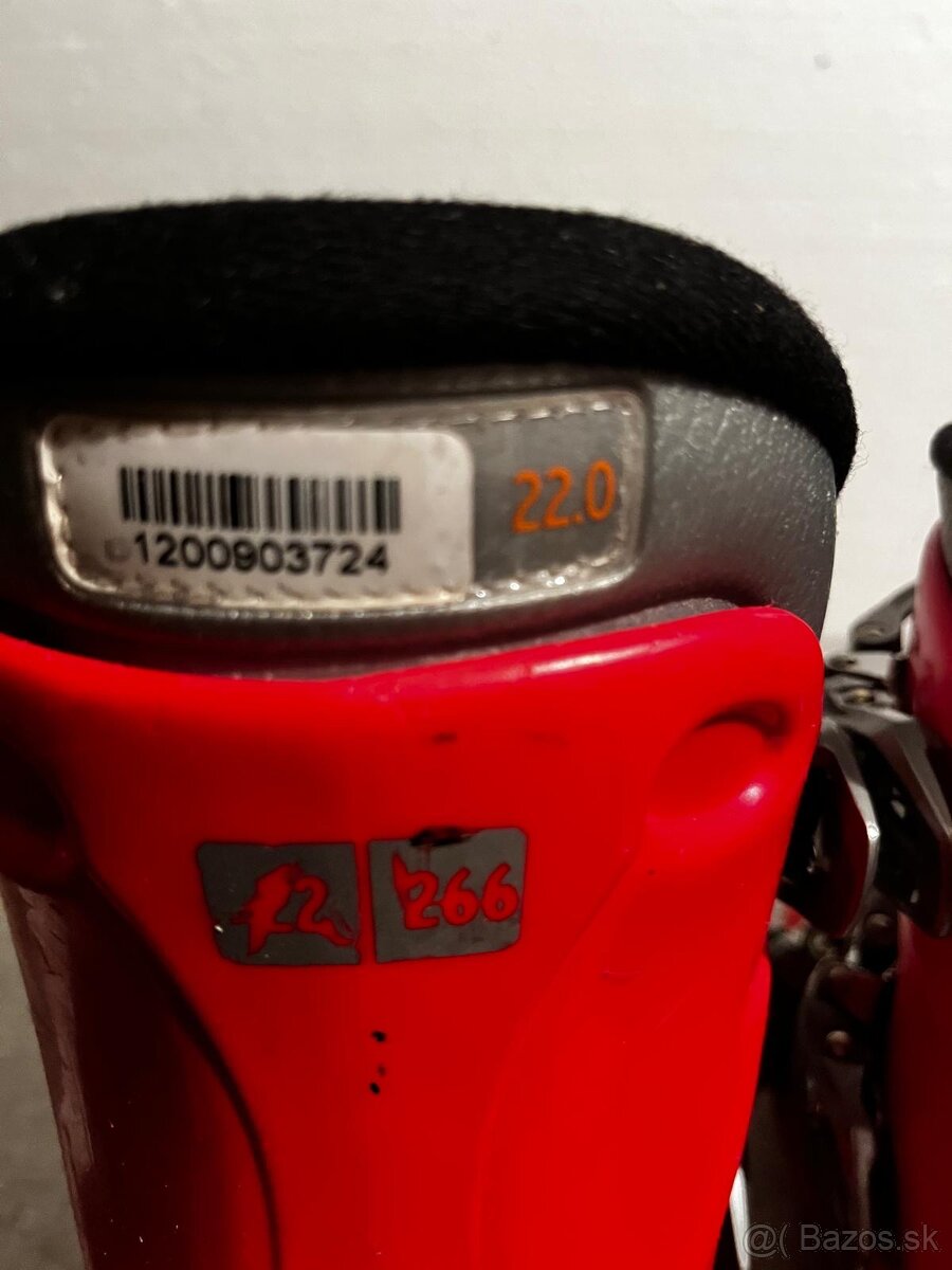 Lyže a lyžiarky rôzne veľkosti - 7