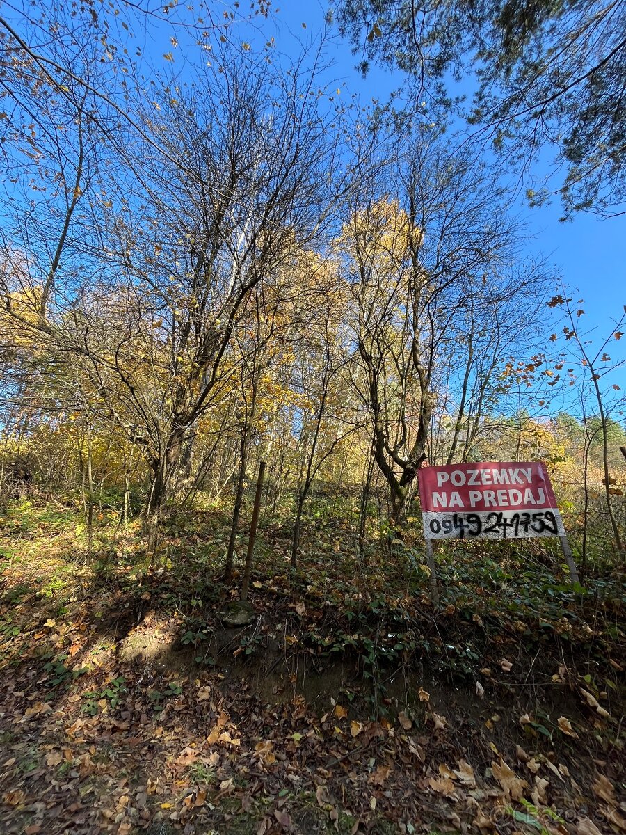 Predam pozemok zahradku na Mihalove Bardejov - 7