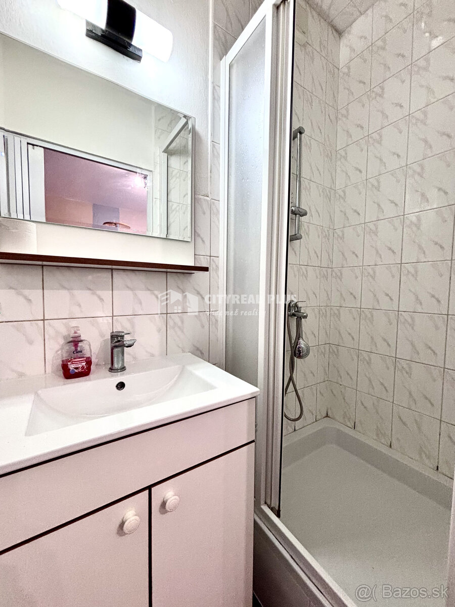 Ponúkame Vám na prenájom 1 izbový byt v rodinnom dome v Nový - 7