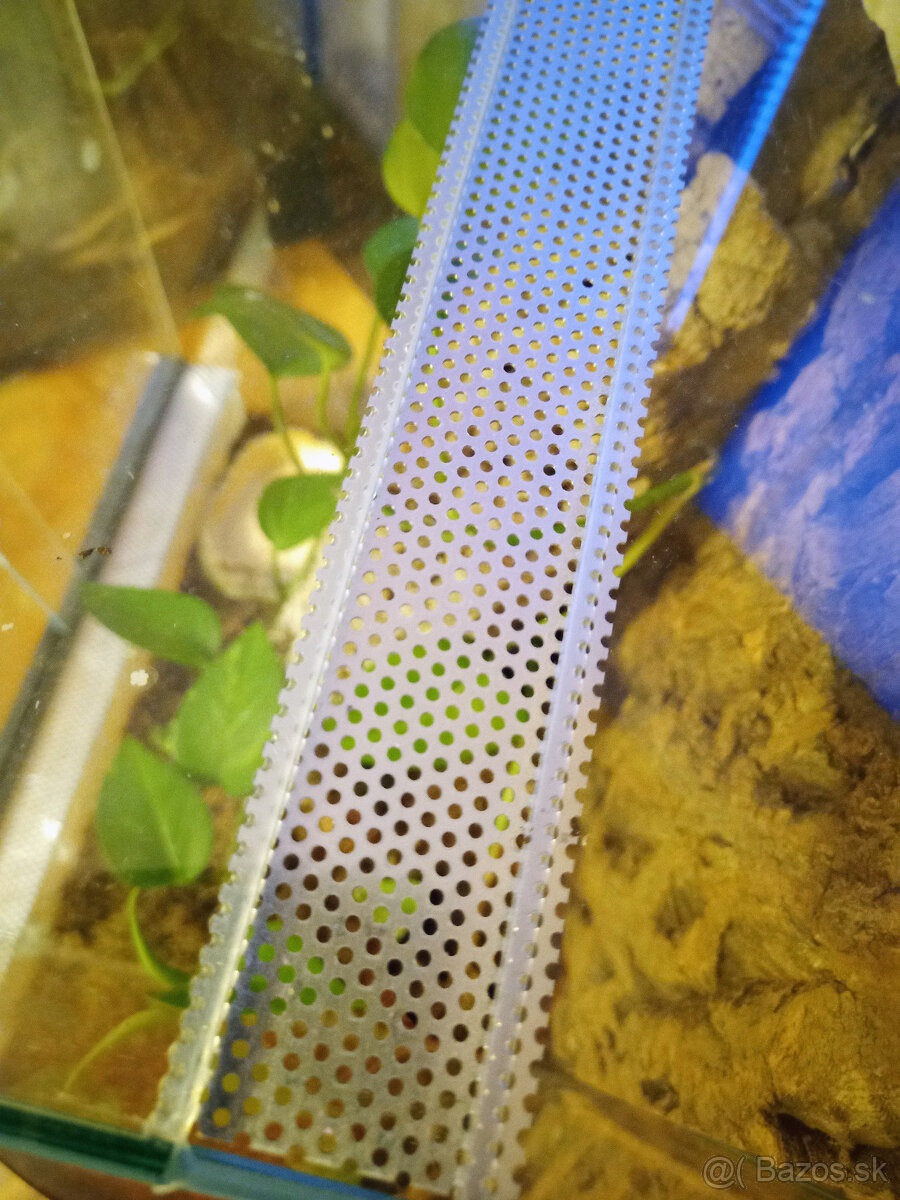 Zariadené terárium 30x30x40 pre tropického miláčika - 7