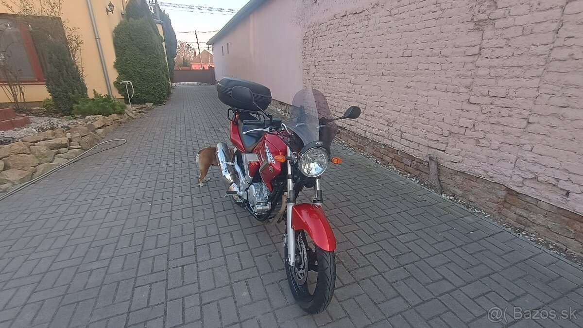 YAMAHA YBR250 - 7
