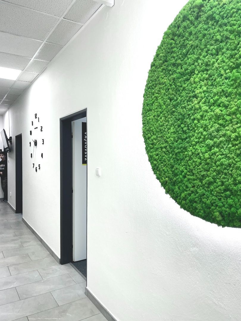 PINK Reality - Jedinečné komerčné priestory v centre Galanty - 7