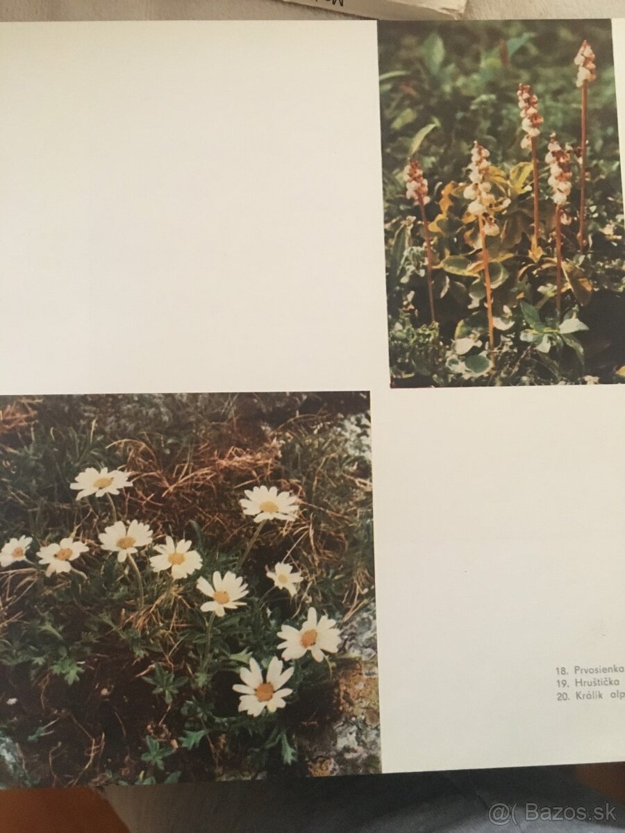 Odborné knihy-záhradnícke - 7