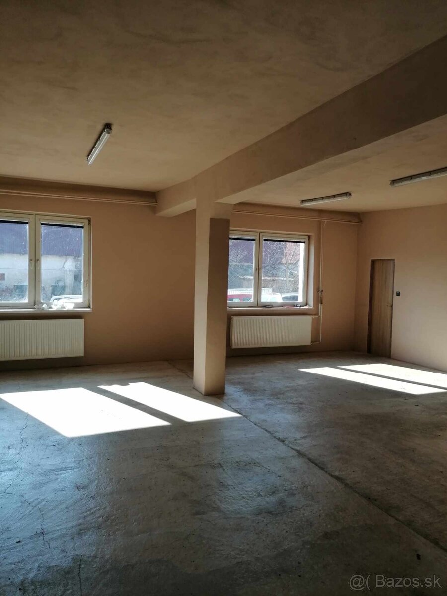 Haly na prenájom - 7