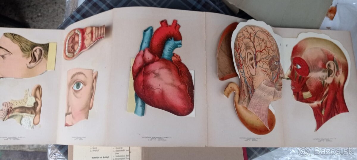 DIE NEUE HEILMETHODE 1907 - 7